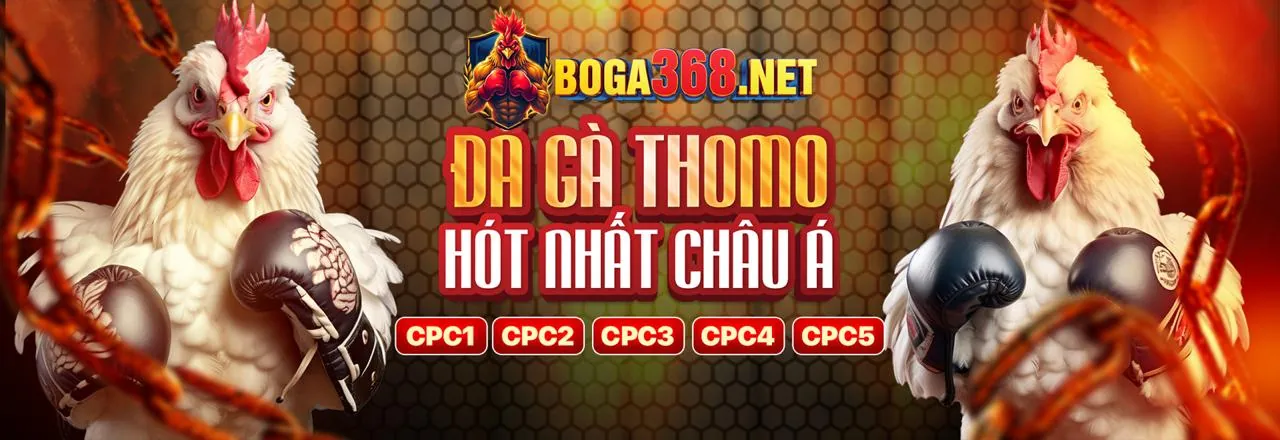 Hình ảnh hỗ trợ khách hàng 88king khuyến mãi